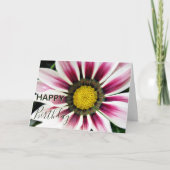 "Happy Birthday" Purple Gazania Flower Karte (Vorderseite)