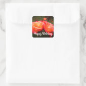 Happy Birthday Rainbow Sorbet Rose #3 Stickers (Tasche)