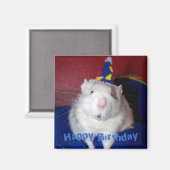 Happy Birthday Rat Magnet (Vorderseite/Rückseite)