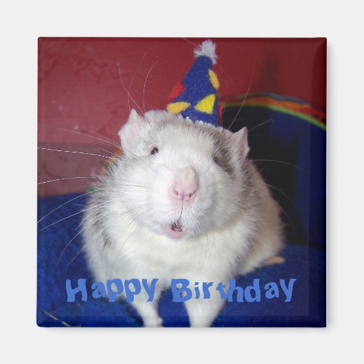 Happy Birthday Rat Magnet (Vorne)