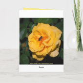 Happy Birthday Red and Yellow Rose Card Karte (Rückseite)