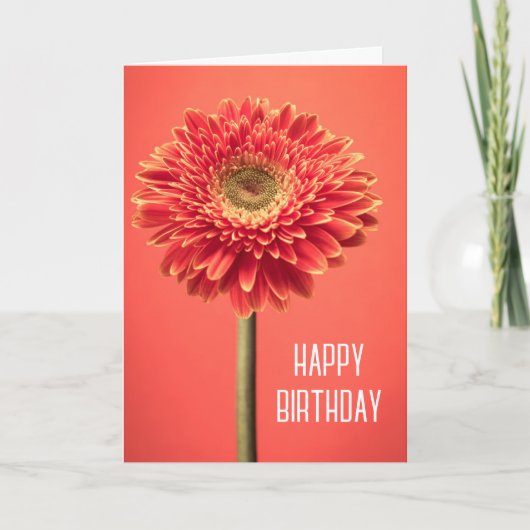 Happy Birthday | Red Barberton Gerbera Daisy Karte (Vorderseite)