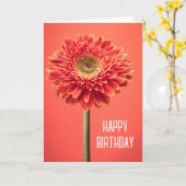 Happy Birthday | Red Barberton Gerbera Daisy Karte (Gelbe Blume)