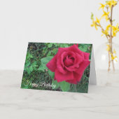 Happy Birthday Red Rose and Raindrops Card Karte (Gelbe Blume)