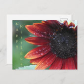 Happy Birthday Red Sunflower Postkarte (Vorne/Hinten)