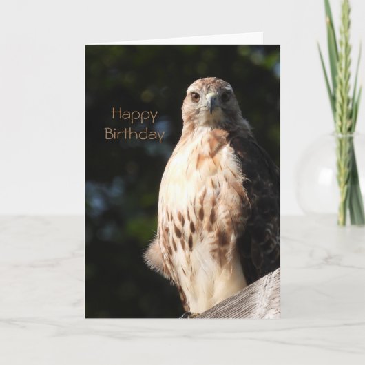 Happy Birthday Red Tail Hawk Karte (Vorderseite)