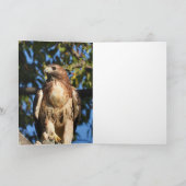 Happy Birthday Red Tail Hawk Karte (Innenseite)