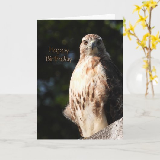 Happy Birthday Red Tail Hawk Karte (Gelbe Blume)