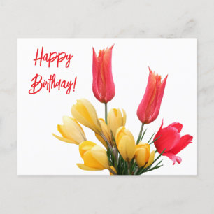 Happy Birthday Red Tulpe Gelb Crocus Blumenzwiebel Postkarte