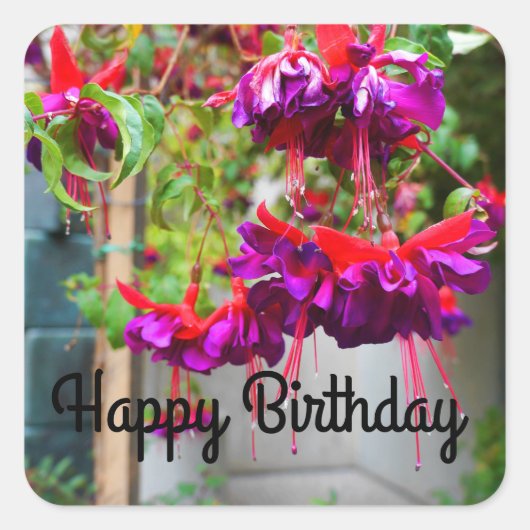 Happy Birthday Red und Lila Fuchsia #1 Stickers (Vorderseite)