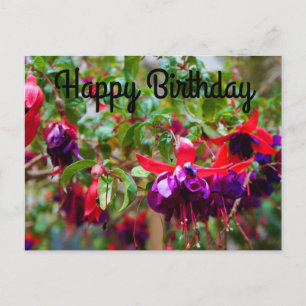 Happy Birthday Red und Lila Fuchsia #2 Postcard Postkarte