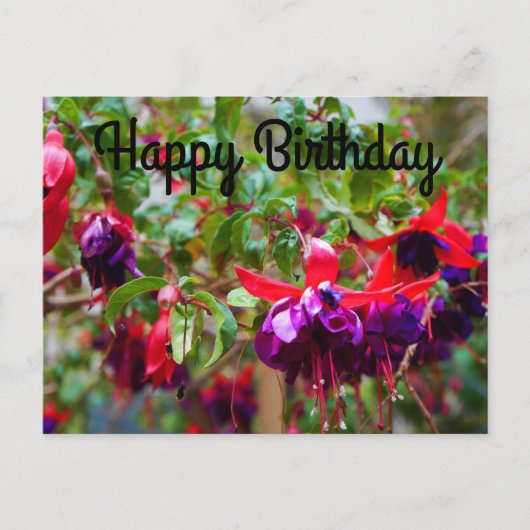 Happy Birthday Red und Lila Fuchsia #2 Postcard Postkarte (Vorderseite)
