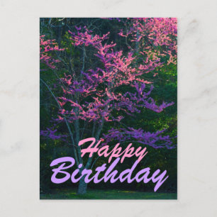 Happy Birthday - Redbud Blume Tree Postkarte