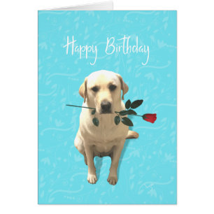 Happy Birthday, Retriever Dog mit Rose, Adorable