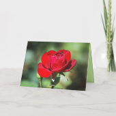 Happy Birthday Romantic Rote Rose Card Karte (Rückseite)
