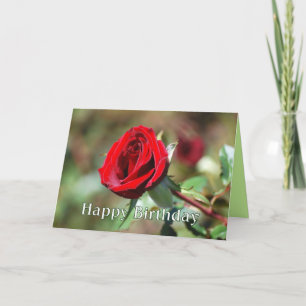 Happy Birthday Romantic Rote Rose Card Karte
