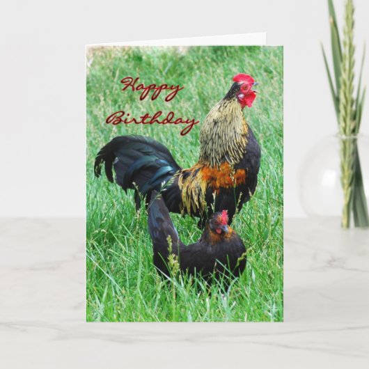 Happy Birthday Rooster und Hen Karte (Vorderseite)