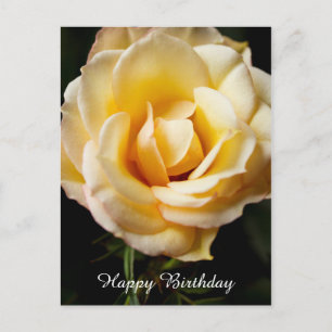 Happy Birthday Rose Postcard Postkarte