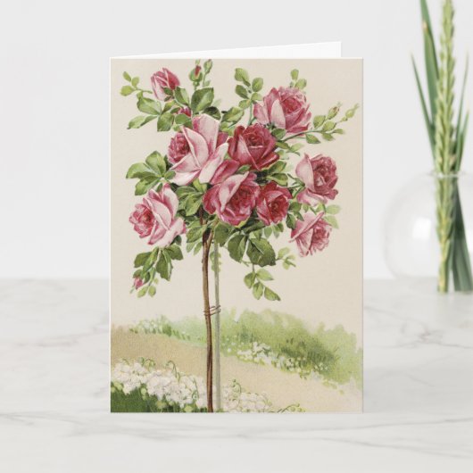 Happy Birthday Rose tree Karte (Vorderseite)