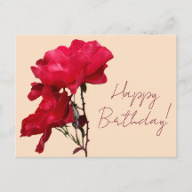 Happy Birthday rote Rose Blume boho blumenhübsch