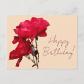 Happy Birthday rote Rose Blume boho blumenhübsch Postkarte (Vorderseite)