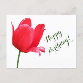 Happy Birthday Rote Tulpe minimalistisch Blumen Bo Postkarte