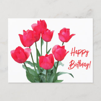 Happy Birthday Rote Tulpen farbenfroh leuchtend bl Postkarte