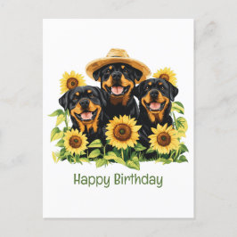 Happy Birthday Rottweiler Hunde Sonnenblumen Postkarte