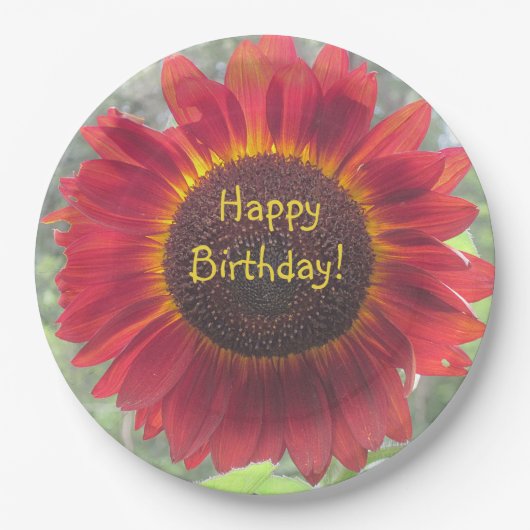Happy Birthday Rusty Sonnenblume Pappteller (Vorderseite)