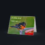 **HAPPY BIRTHDAY** SAYS BIRDIE KARTE<br><div class="desc">HAPPY BIRTHDAY WISHES FROM THIS BEAUTIFUL BALTIMORE ORIOLE UND FROM WHOMEVER SIGNS THE CARD :) 
THANKS FOR STOPPING BY 1 OF MY 8 STORES.</div>