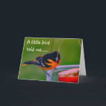 **HAPPY BIRTHDAY** SAYS BIRDIE KARTE<br><div class="desc">HAPPY BIRTHDAY WISHES FROM THIS BEAUTIFUL BALTIMORE ORIOLE UND FROM WHOMEVER SIGNS THE CARD :) 
THANKS FOR STOPPING BY 1 OF MY 8 STORES.</div>