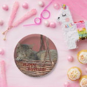 Happy Birthday Schlafen Kitty Paper Plate Pappteller (Party)