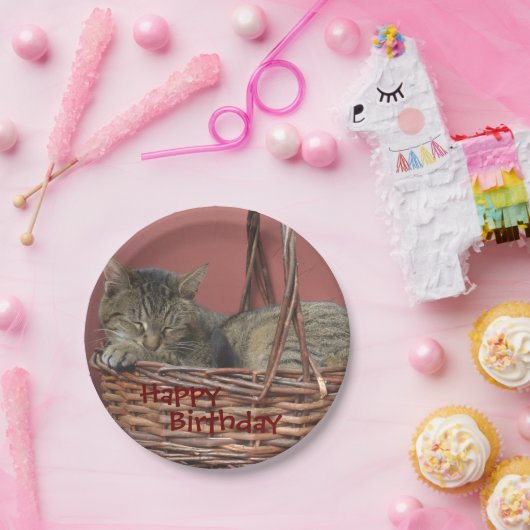 Happy Birthday Schlafen Kitty Paper Plate Pappteller (Party)