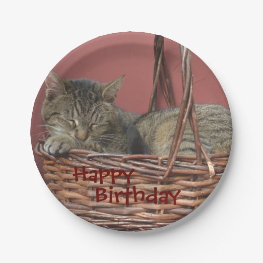 Happy Birthday Schlafen Kitty Paper Plate Pappteller (Vorderseite)