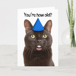 Happy Birthday Schockierte Katze mit menschlichen Feiertagskarte