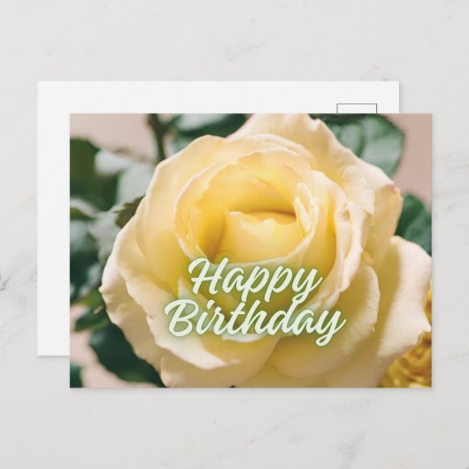 Happy Birthday Schöne hellgelbe Rose Postkarte (Vorne/Hinten)