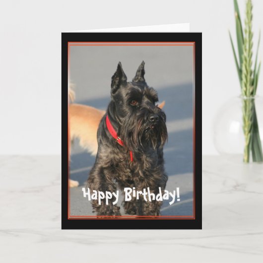 Happy Birthday Scottish Terrier Grußkarte Karte (Vorderseite)