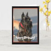 Happy Birthday Scottish Terrier Grußkarte Karte (Gelbe Blume)