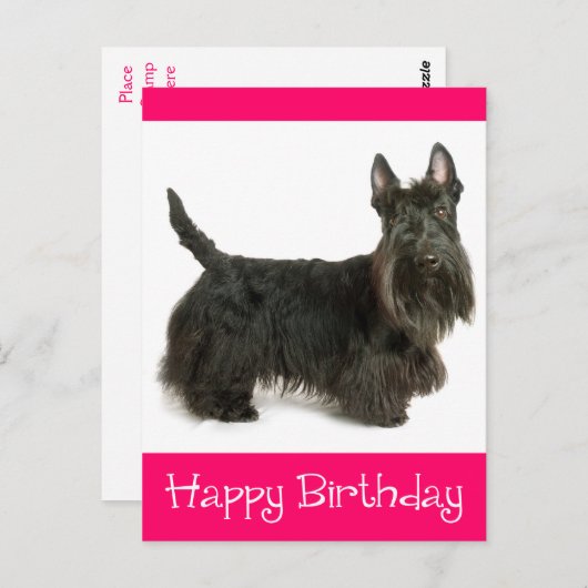 Happy Birthday Scottish Terrier Puppy Postcard Postkarte (Vorne/Hinten)