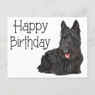 Happy Birthday Scottish Terrier Puppy Postcard Postkarte