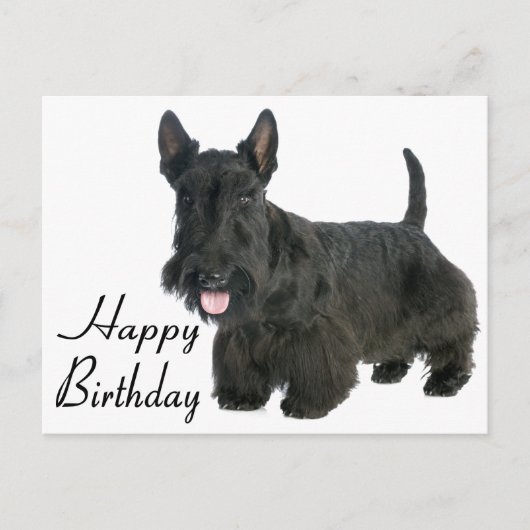 Happy Birthday Scottish Terrier Puppy Postcard Postkarte (Vorderseite)