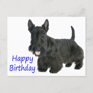 Happy Birthday Scottish Terrier Puppy Postcard Postkarte