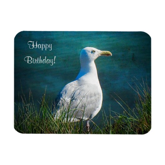 Happy Birthday Seagull Magnet (Horizontal)