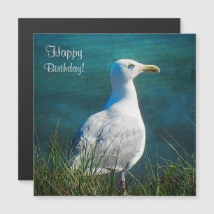 Happy Birthday Seagull Magnetkarte