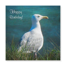 Happy Birthday Seagull Magnetkarte