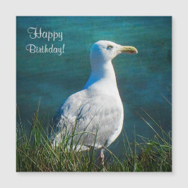 Happy Birthday Seagull Magnetkarte