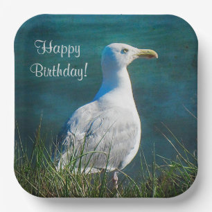 Happy Birthday Seagull Pappteller