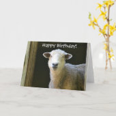Happy Birthday Sheep Karte (Gelbe Blume)