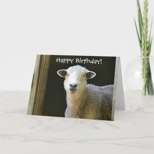 Happy Birthday Sheep Karte (Vorderseite)