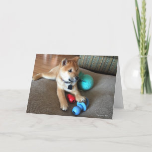 Happy Birthday Shiba Inu Puppy Colorful Toys Foto Karte
